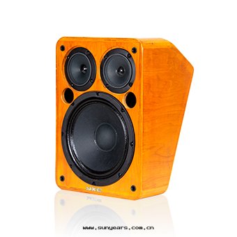 YSD-T1508A專業音(yīn)箱(xiāng)	